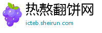 热熬翻饼网